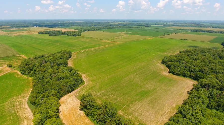 FARMLAND AUCTION - 240+/- ACRES IN 3 TRACTS IN JEFFERSON COUNTY, ILLINOIS